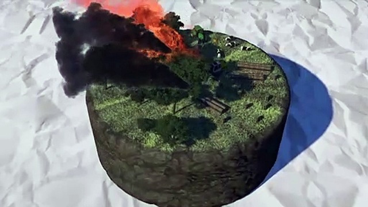 Videografik: Entwaldung