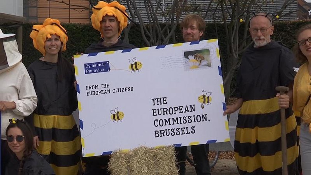 NO COMMENT der Woche: Riesenpanda, Super-'Dunk' und wütende Imker