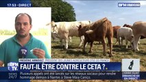 CETA: Les permanences saccagées ? 