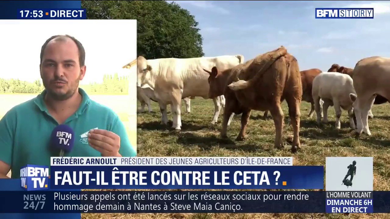 CETA: Les permanences saccagées ? "C'est un cri de désespoir", pour le porte-parole des jeunes agriculteurs