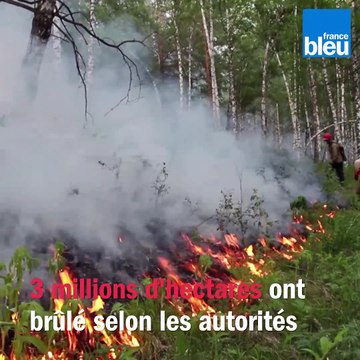 La Sibérie ravagée par de gigantesques incendies qui menacent l'Arctique