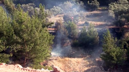 Buca'da orman yangını - İZMİR