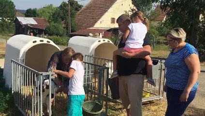 Séjours à la ferme
