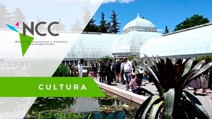 El legado de Burle Marx continúa inspirando el paisajismo urbano