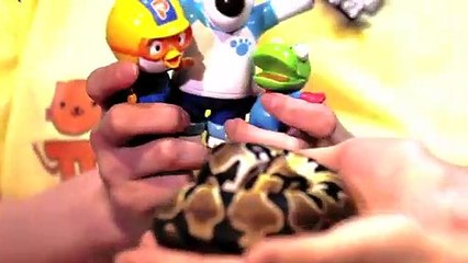 범계출장안마 -후불100%ョØ7ØW7301W9649｛카톡CS69｝  범계전지역출장안마 범계오피걸 범계출장마사지 범계안마 범계출장마사지 범계콜걸샵⻡ざ∾