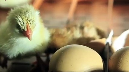 이천출장안마 -후불100%ョØ7ØM7575M0054｛카톡USA16｝  이천전지역출장안마 이천오피걸 이천출장마사지 이천안마 이천출장마사지 이천콜걸샵≌∠㌢