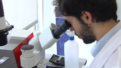 Un equipo de científicos descubre una proteína que retrasa el envejecimiento