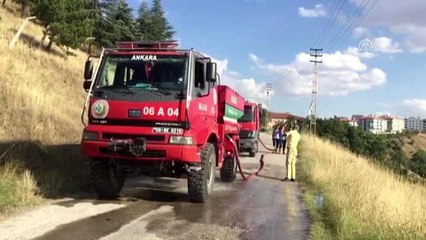 Başkentte ormanlık alanda yangın