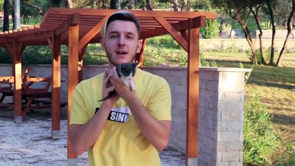 KEDİYLE KIZ TAVLAMA !!   TÜRKİYE'DE İLK !!