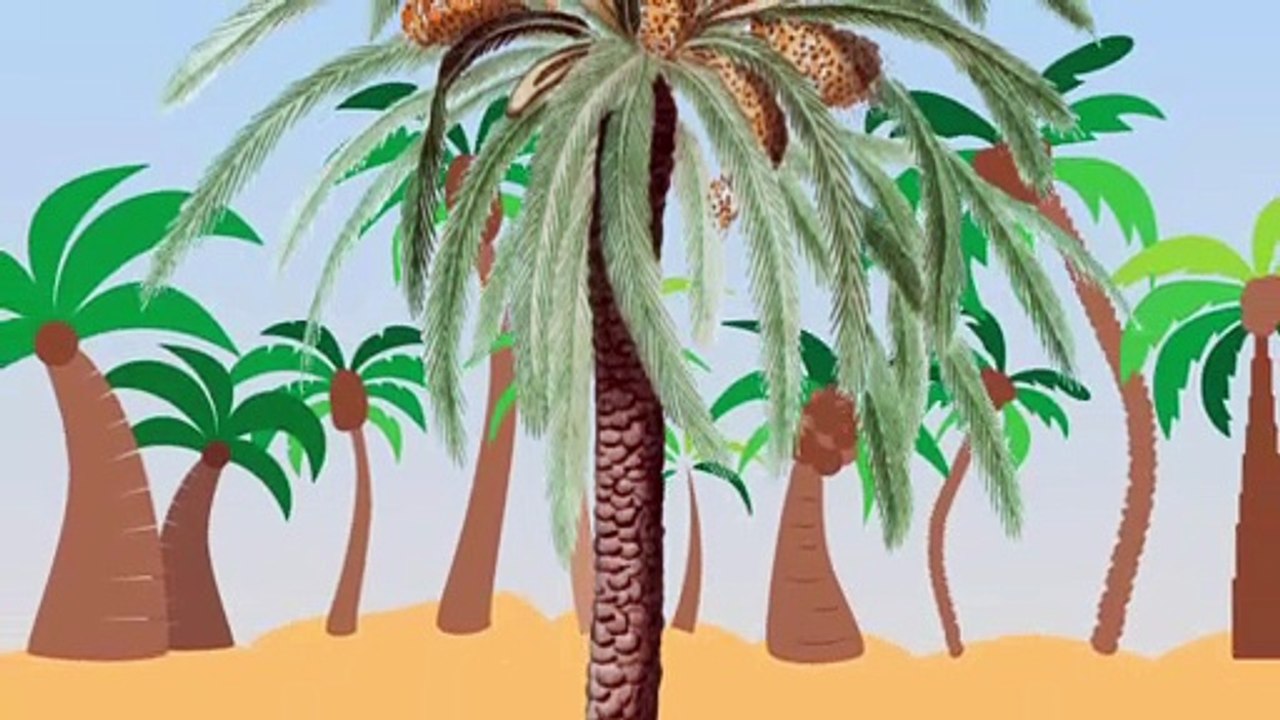 Hz Salih ve semud kavmi | Hz. Salih'in deve mucizesi Hz. Salih ve devesi, hz salih mucizesi,hz salih peygamber,hz salih ve devesi,hz salih ve semud kavmi izle,hz salih'in deve mucizesi,hz salih'in devesi,hz salih'in filmi,hz salih'in hayatı