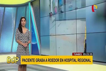 Tumbes: paciente graba a roedor en Hospital Regional