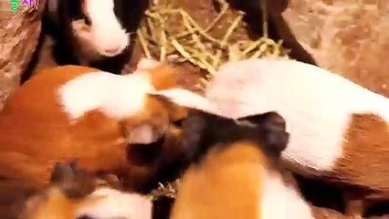 산삼동출장안마 -후불100%ョØ1ØM7685M6221｛카톡USA51｝  산삼동전지역출장안마 산삼동오피걸 산삼동출장마사지 산삼동안마 산삼동출장마사지 산삼동콜걸샵㌜≏∥