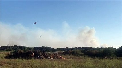 Incendies dans le Gard : le feu  de Générac  a parcouru une surface de plus de 150 hectares