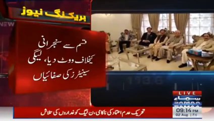 سینیٹ نیں بدترین شکست کے بعد بننی والی کمیٹی کا حال