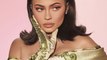 Kylie Jenner Responds to Backlash Over Money-Themed Cosmetics Collection
