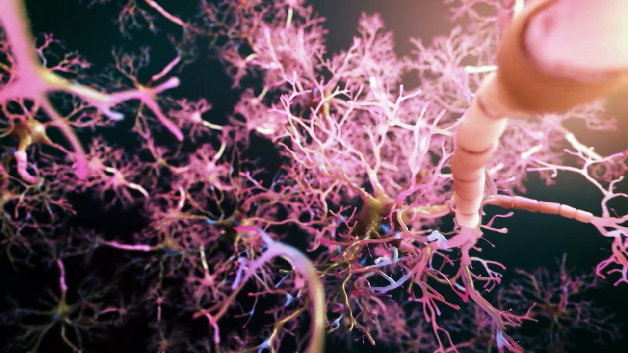 Découvrez les premières images du documentaire « Human +, le futur de nos sens » diffusé le 12 août sur RMC Découverte - VIDEO