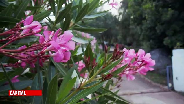 EXCLU AVANT-PREMIERE : Découvrez les premières images de « Capital » diffusé ce soir en prime sur M6 - VIDEO