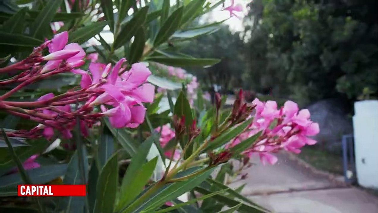 EXCLU AVANT-PREMIERE : Découvrez les premières images de « Capital » diffusé ce soir en prime sur M6 - VIDEO