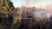Incendies dans le Gard : nos images du feu de Générac qui a parcouru plus de 150 hectares