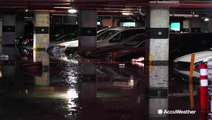 Record rainfall floods downtown St Petersburg, Florida