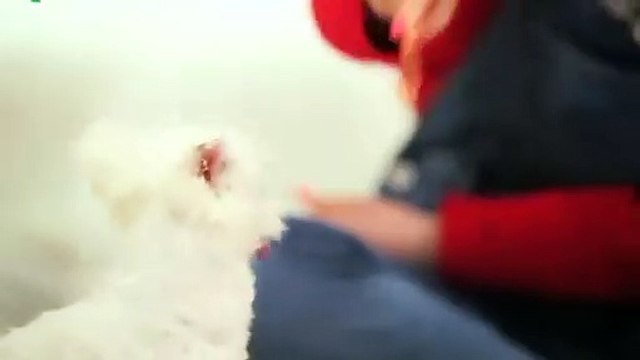 순천출장안마 -후불100%ョOiOX7685X6221｛카톡LTE16｝ 순천전지역출장안마 순천오피걸 순천출장마사지 순천안마 순천출장마사지 순천콜걸샵◆㍕⻛