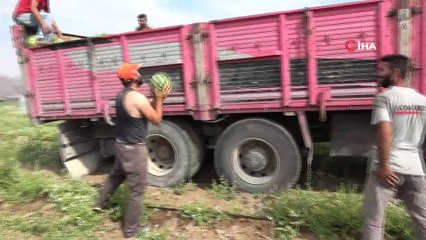 Yakacık karpuzu hasadı başladı...Karpuz tarlaları havadan görüntülendi