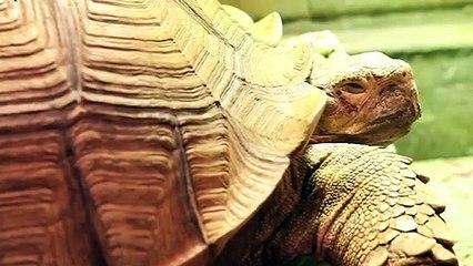 연수출장안마 -후불100%ョØ7ØM7575M0054｛카톡OMO78｝  연수전지역출장안마 연수오피걸 연수출장마사지 연수안마 연수출장마사지 연수콜걸샵≖㌫≨