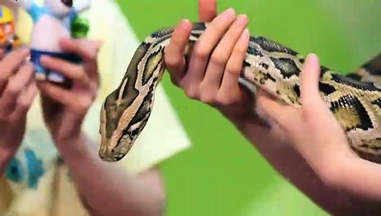 의정부출장안마 -후불100%ョØ7ØM7575M0069｛카톡CC6969｝  의정부전지역출장안마 의정부오피걸 의정부출장마사지 의정부안마 의정부출장마사지 의정부콜걸샵▽ぷぱ