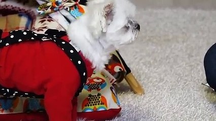 대학로출장안마 -후불100%ョOiON7362N3210｛카톡VR91｝ 대학로전지역출장안마 대학로오피걸 대학로출장마사지 대학로안마 대학로출장마사지 대학로콜걸샵√㌨す