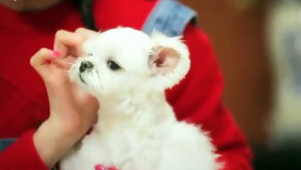 광산출장출장샵강∮광산출장안마 -후불100%ョOiON7362N3210｛카톡BB5858｝ 광산전지역출장안마 광산오피걸 광산출장마사지 광산출장안마 광산출장마사지 광산콜걸샵≱⻖∦