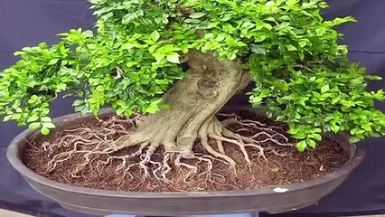 부안출장타이마사지∮부안출장안마 -후불100%ョØ7ØW7333W9649｛카톡VV23} 부안전지역출장안마 부안오피걸 부안출장마사지 부안출장안마 부안출장마사지 부안콜걸샵⾬⾹㌢