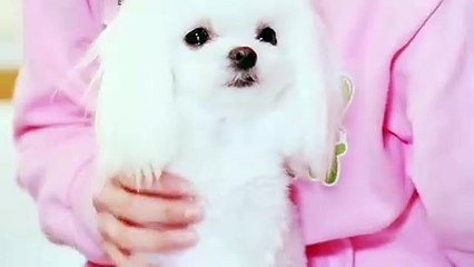 수성지구출장안마 -후불100%ョO7OV7333V9649｛카톡VV23}  수성지구전지역출장안마 수성지구오피걸 수성지구출장마사지 수성지구안마 수성지구출장마사지 수성지구콜걸샵⊁㍖に