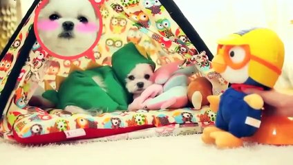 연수출장서비스강추∮연수출장안마 -후불100%ョO7OX7575X0069｛카톡RD654｝ 연수전지역출장안마 연수오피걸 연수출장마사지 연수출장안마 연수출장마사지 연수콜걸샵∍㌾◚