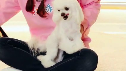 안동출장안마 -후불100%ョOiOX2997X5327｛카톡QR091｝ 안동전지역출장안마 안동오피걸 안동출장마사지 안동안마 안동출장마사지 안동콜걸샵≮∳せ