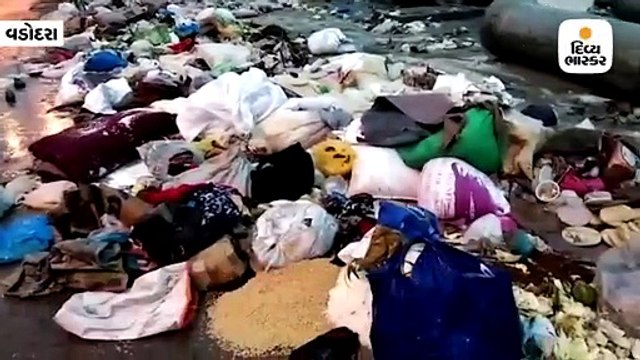 પૂરના પાણી ઓસર્યા બાદ વડોદરામાં લોકોએ અનાજ સહિતની વસ્તુઓ રોડ પર ફેંકી દીધી