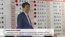 Japan's Abe wins upper house election, falls short of majority for reform