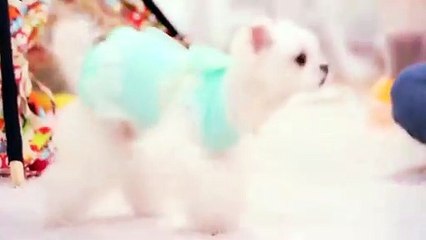 평택출장안마 -후불100%ョØ7ØM7575M0069｛카톡CC6969｝  평택전지역출장안마 평택오피걸 평택출장마사지 평택안마 평택출장마사지 평택콜걸샵⾼≵ぼ