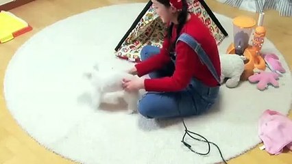중구출장안마 -후불100%ョØ1ØZ7362Z3210｛카톡VR91｝ 중구전지역출장안마 중구오피걸 중구출장마사지 중구안마 중구출장마사지 중구콜걸샵ゔひ⾲