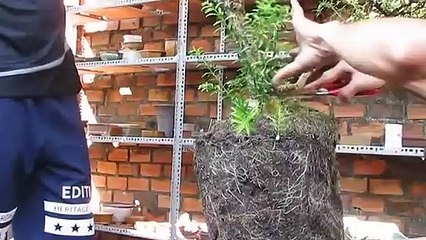 군산출장안마 -후불100%ョOiON7362N3210｛카톡BB5858｝  군산전지역출장안마 군산오피걸 군산출장마사지 군산안마 군산출장마사지 군산콜걸샵⻣せ≰