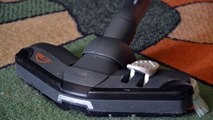 Carpet Cleaning Indio CA | Commercial Carpet Cleaning Indio CA