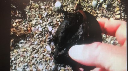 Du pétrole sur la plage de Saint - Julien