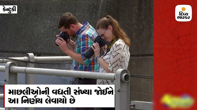 પાણીમાં કરંટ પસાર કરીને માછીમારી કરવાનો શોકિંગ વીડિયો, ઈલેક્ટ્રોફિશીંગ જોઈને યૂઝર્સ પણ ચમક્યા