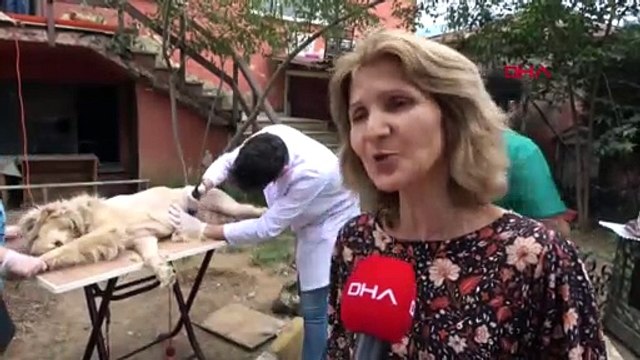 Trabzon’da örnek proje: Her okula bir sokak köpeği