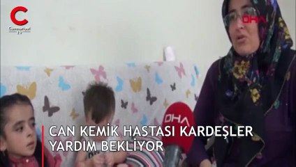 Cam kemik hastası kardeşler yardım bekliyor