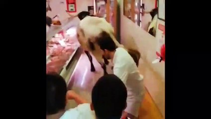 Un cabestro se infiltra en una carnicería de Estella durante el primer encierro bajo la atenta mirada de los mozos