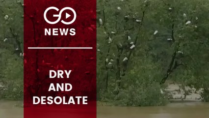 Migrant Birds Staying Away From Sanctuary