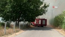 Antalya'da ot yangını korkuttu