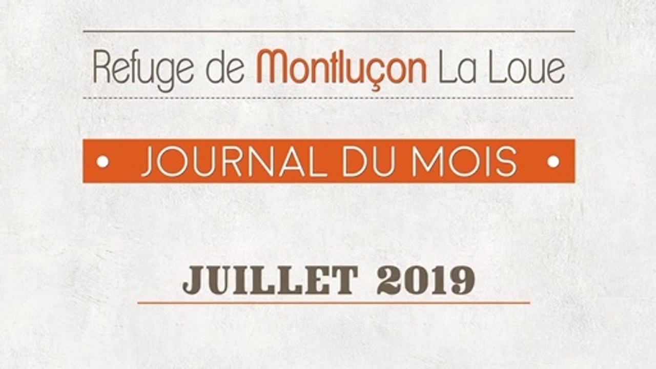 Un mois au refuge SPA de Montluçon : juillet 2019