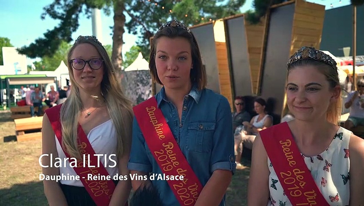 Reine des vins d'Alsace : le trio royal donne sa vision de la Foire