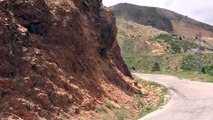 Tunceli'de yiyecek arayan yaban keçileri kara yoluna indi